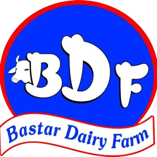 BDF Logo